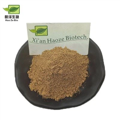 Extrato de Cordyceps