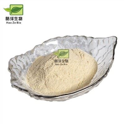 Pó de extrato de pepino do mar