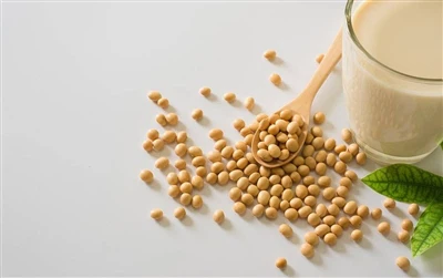 Proteína de Soja – Uma Proteína Vegetal de Alta Qualidade