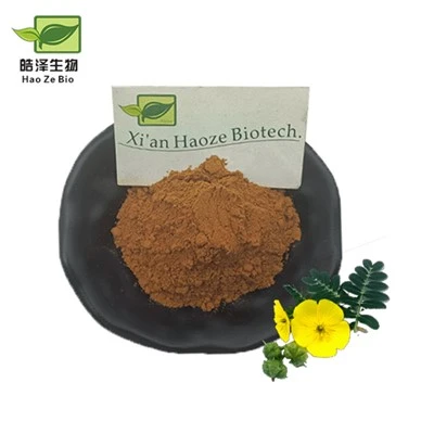 Tribulus Terrestis Extract Powder